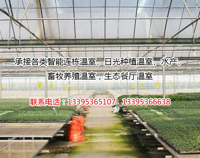 玻璃温室厂家 玻璃温室厂家