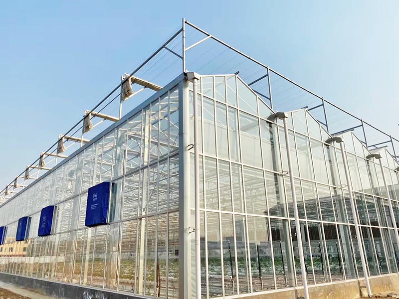 玻璃温室 玻璃温室