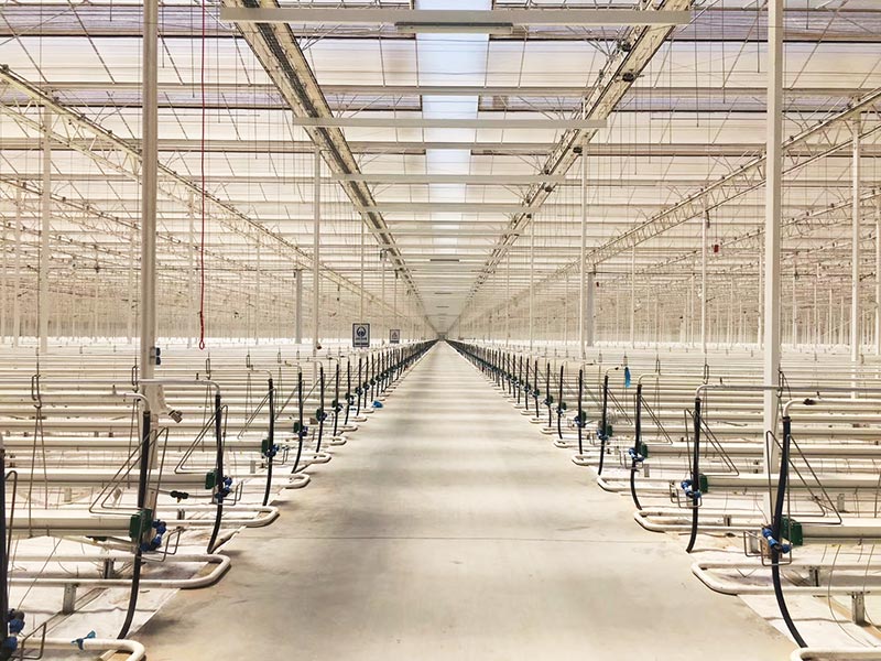 玻璃温室 玻璃温室