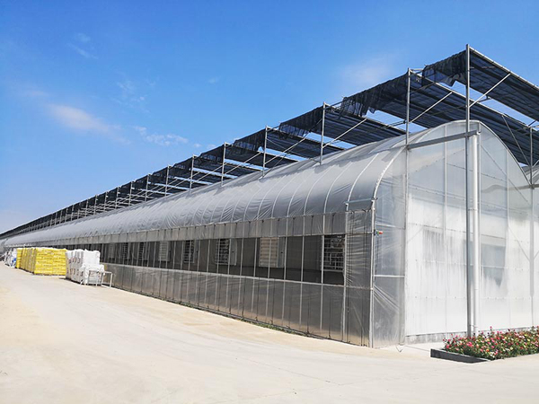 薄膜联栋温室