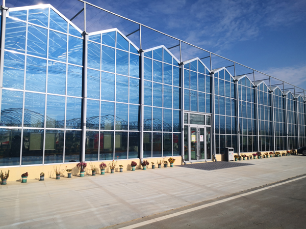 玻璃温室 玻璃温室