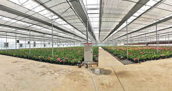 联栋温室 联栋温室