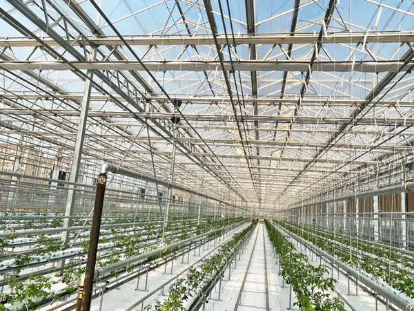 联动温室 联动温室