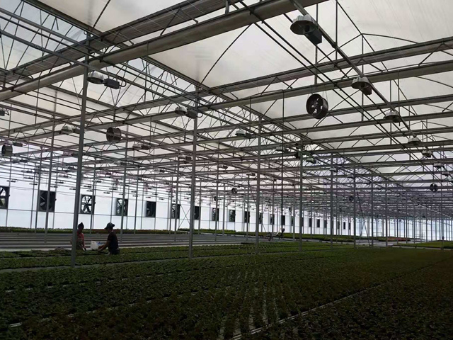 智能温室 智能温室