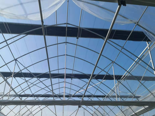 智能温室 智能温室