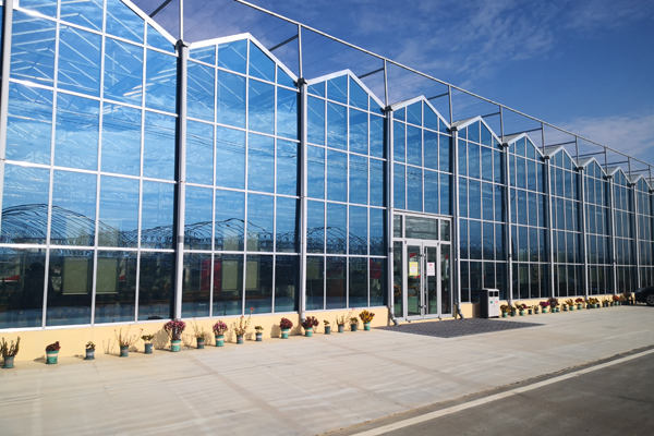 张家港精钢联栋温室价格