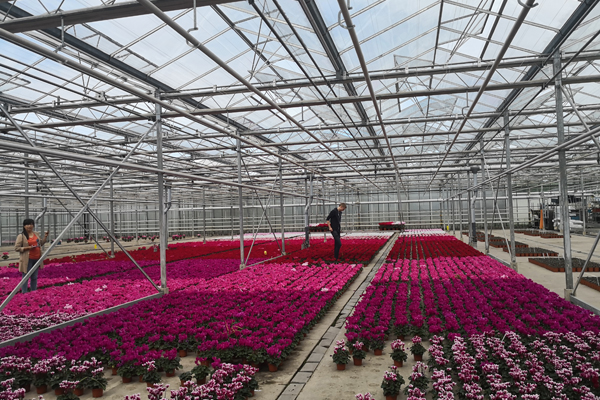 舟山精钢温室骨架大棚