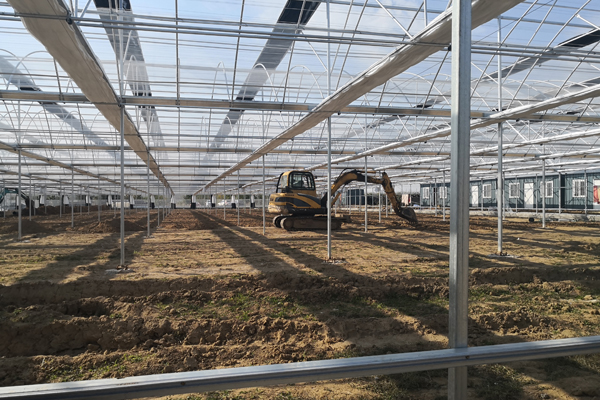 张家港精钢联栋温室价格