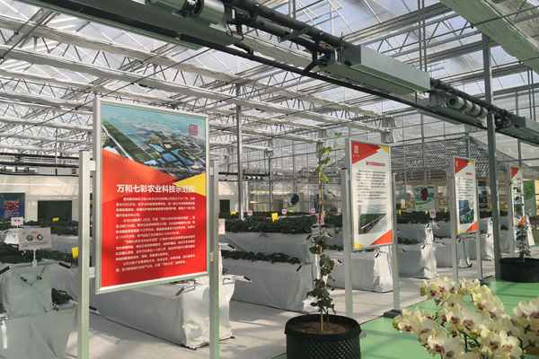 舟山精钢温室骨架大棚