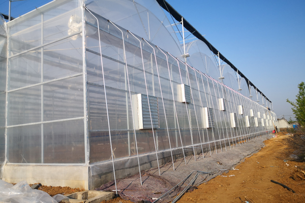 温州智能温室工程大棚