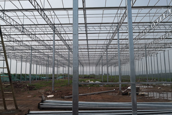 江苏精钢草莓大棚大棚