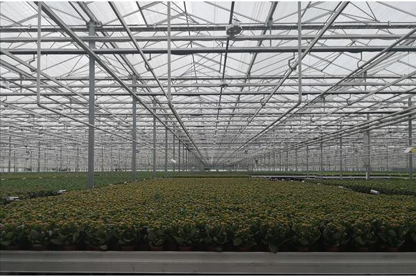 芜湖精钢阳光板温室厂家