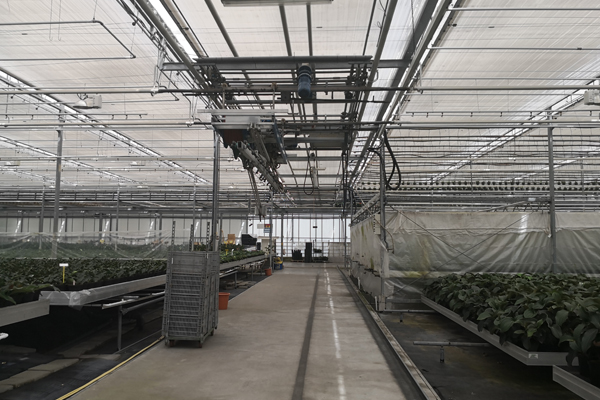 诸城精钢玻璃温室价格