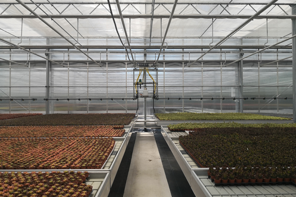 扬州智能草莓大棚价格