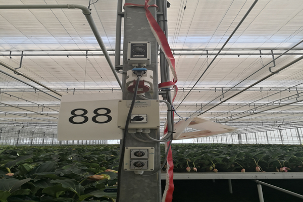 山东智能葡萄大棚厂家