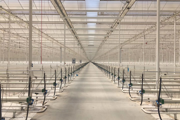 温州智能温室工程大棚