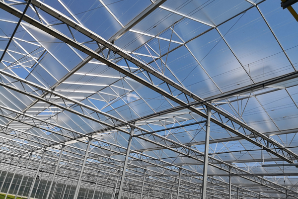 高邮新型草莓大棚大棚