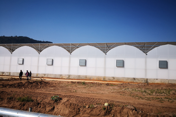 诸城精钢玻璃温室价格