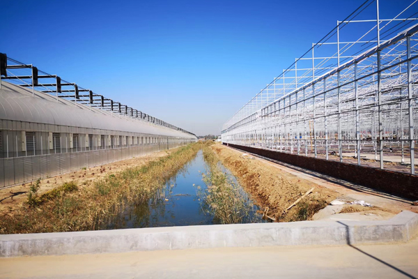 温州智能温室工程大棚