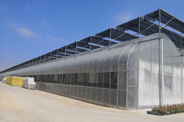 联栋温室 联栋温室