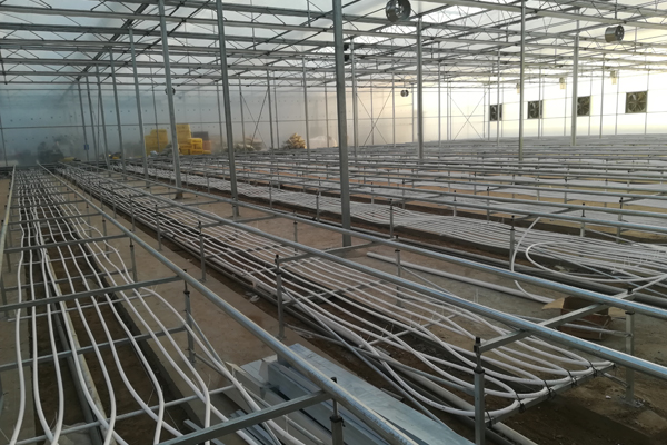 芜湖精钢阳光板温室厂家