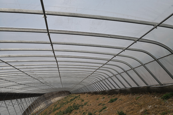 芜湖精钢阳光板温室厂家