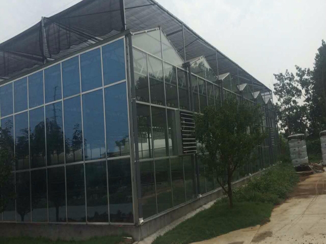玻璃温室