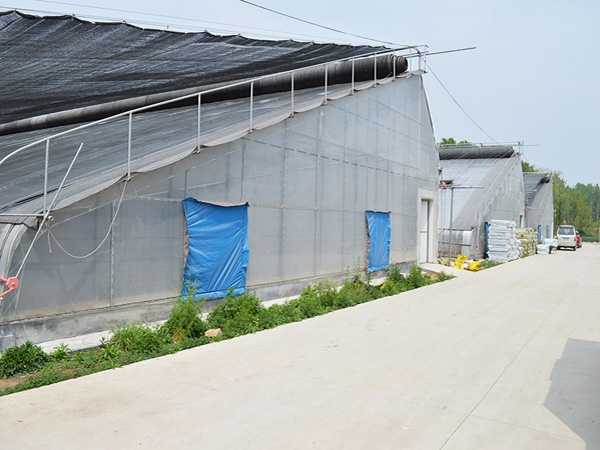 温室案例